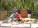 Staurikosaurus and rhynchosaur are animals of Geopark Paleorrota produced by paleoartist Clovis Dapper