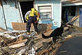 Search and rescue team examine damaged house