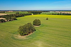 Blick auf die Großsteingräber Leetze 1–3