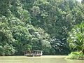 River cruise on the Loboc River