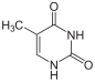 structure chimique de la thymine