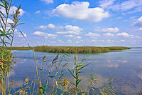 Shirvan National Park (Shirvan) Author: UlkarG