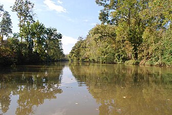 Bayou Teche