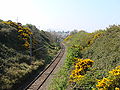 Ligne du DART à Bray, Comté de Wicklow