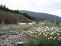 One of the Rivers of Montana