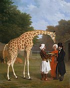 The Nubian Giraffe, 1827. Dit is een van de drie giraffen die Mohammed Ali van Egypte naar Europa bracht en die aan koning George IV van het Verenigd Koninkrijk. Een andere giraf werd geschonken aan koning Karel X van Frankrijk.