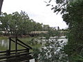 Upstream side of the Koondrook and Barham, from the New South Wales side