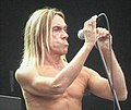 Iggy Pop at Sziget Festival 2006