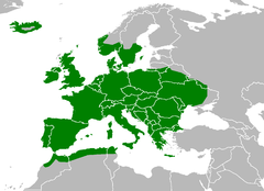 Mapa występowania