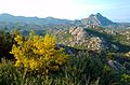 Inselberg de Monte Genova , 418 m