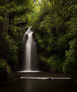 Putri waterfall in Mount Ciremai National Park