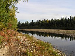 Taiga forest, Khanty–Mansia, Ural Mountains, Russia.