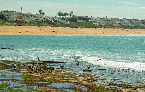 Photo of Bouznika beach including beach houses, sand, vacationers, sea, sea rocks, seagulls, palm trees and waves in the same frame ،I think the quality of the image and the variety of elements in it might qualify it as a featured image.