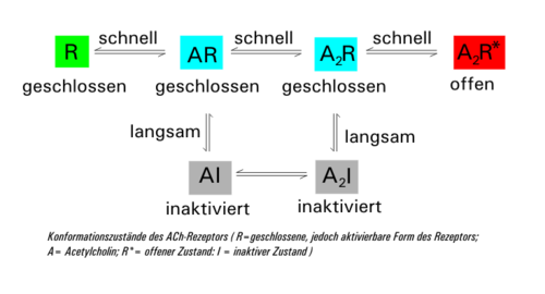 Schaltverhalten