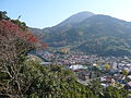 太鼓谷稲荷神社から見た津和野町