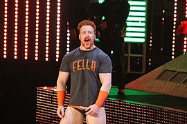 WWE Raw IMG 5380 (13772796055).jpg