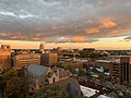 Ann Arbor, Michigan