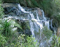 The Goomoolahra Falls are located on the Springbrook Plateau of the Gold Coast Hinterland, Gold Coast Queensland Australia.