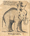 Elefant 1629