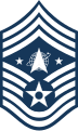 Chief Master Sergeant for the United States Space Force