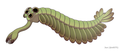 Opabinia