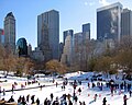 Central Park, Wollman Rink.