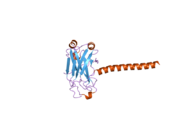 2gkw: Key contacts promote recognition of BAFF-R by TRAF3