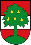 Våben for Dornbirn