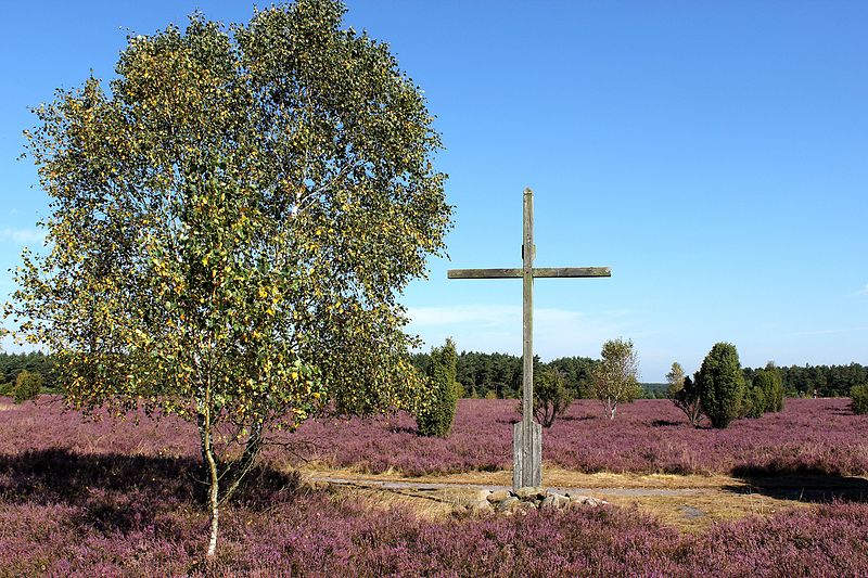 File:Wacholderwald Schmarbeck 02.jpg