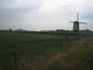 Blik op de molen vanaf centrum