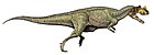 Ceratosaurus nasicornis