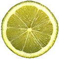 Limeujo