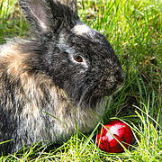 Frohe Ostern von Astrofreund