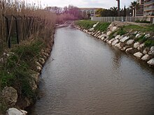 Le Batailler, à proximité de son embouchure, au Lavandou.