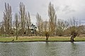 * Nomination: River Cam in Paradise Fen nature reserve --Heuschrecke 09:34, 5 March 2013 (UTC) * * Review needed