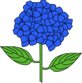 Hortensia