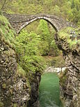 Ponte della Gula