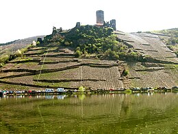 Terrassierte Hänge bei Beilstein