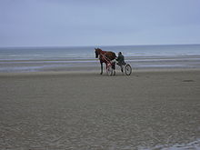 Entraînement d'un trotteur