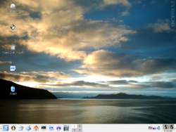 Dateischirmfoto vo Knoppix 5.3.1
