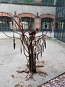 Œuvre d'art présente dans la cour arrière de l'usine.