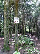 Vosges-Sentier Albert Ronsin.jpg