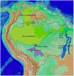 Distribuição geográfica do gênero Inia