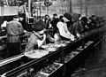 Image 20Ford assembly line, 1913. The magneto assembly line was the first. (from History of technology)