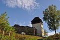 Torre d'ingresso della chiesa di Țapu