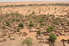 Environmental migration. Sparser rainfall leads to desertification that harms agriculture and can displace populations. Shown: Telly, Mali (2008).[277]