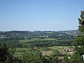 Le colline viste da Roddi