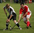 National sport (Shinty)