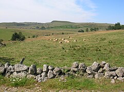 Aperçu du nord de l'Aubrac.