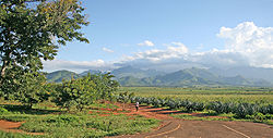 Uluguru Mountains